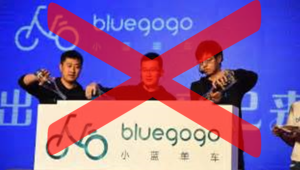 bluegogo collapsed CEO Gone